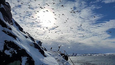 Varanger, 70° nord A l'extrémité de la Norvège, tout au bout de l'Europe, sur les bords de la mer de Barents .... C'est la Toundra, plus...
