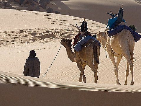 Nomades Les pasteurs nomades du Sahara. La conquète du vide ou la nécéssité d'être nomade. Le monde des sédentaires, ce qu’on...