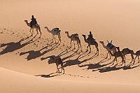 La caravane dans les dunes d'Agholibi.