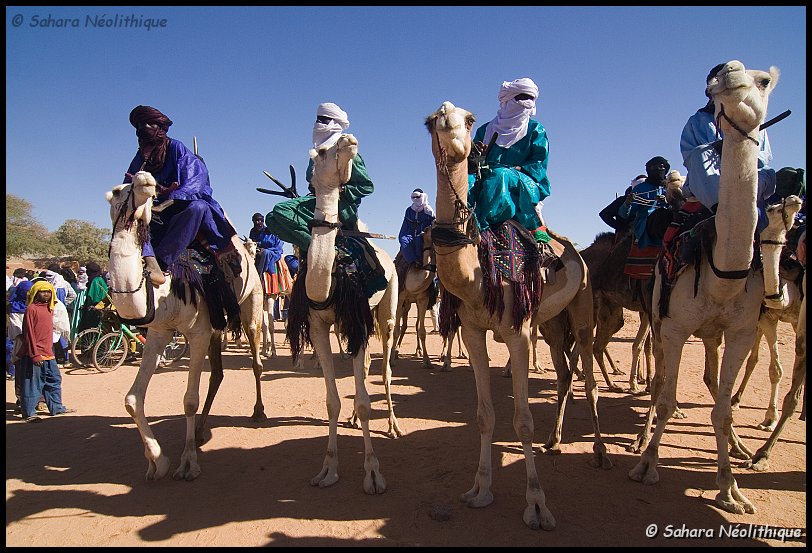 bianou-7a.jpg - Les chameaux participent aussi à la fête.