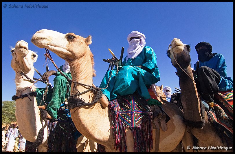 bianou-7b.jpg - Les chameaux aux yeux clairs sont originaires de l'Air. La position des pied des Touaregs sur le coup de leur chameau leur permet de rythmer l'allure de leur monture.