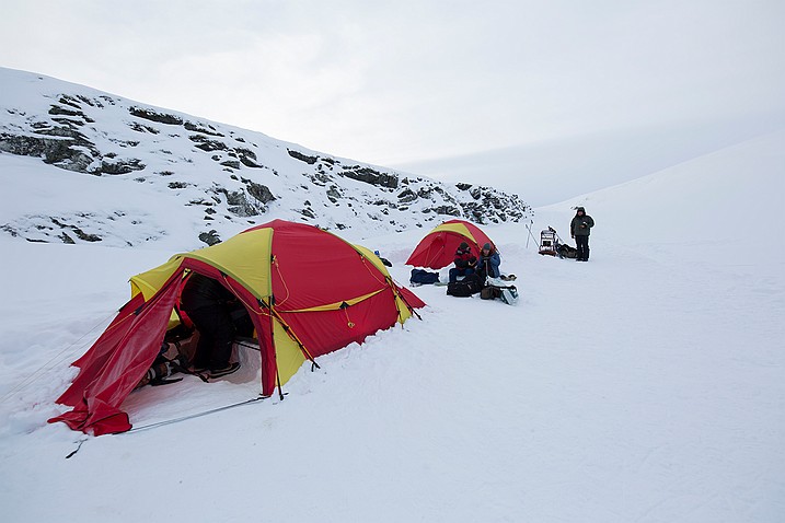 L'expédition Mais pour observer leurs combats dans la neige sur les plateaux glacés du Dovrefjell en Norvège, il faut aussi affronter...