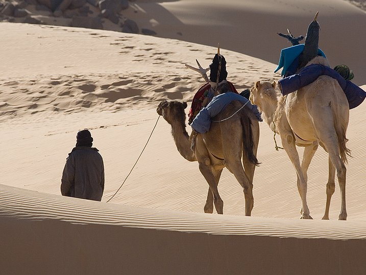 Les pasteurs nomades du Sahara Touaregs et Peuls