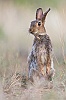 40dIMG_0256a