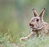 IMG_7751b