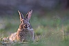 IMG_8220a