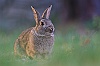 IMG_8225a