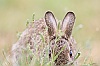 IMG_9065a