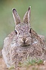 IMG_9093a