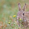IMG_9105a