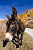 IMG_9637c