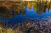 IMG_9620a