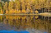 IMG_9692a