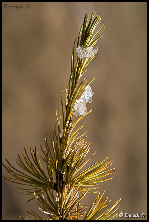 IMG_3580a.jpg