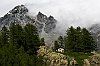 IMG_1138a