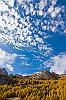 IMG_3537a