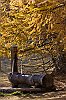 IMG_3547a