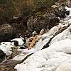 IMG_3830a