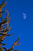 IMG_9723a