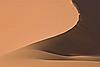 Perfection des courbes ....  Les dunes de la Tadrart figurent parmi les plus hautes d'Algérie. La grande dune de Ti-n-Merzouga dépasse les 300 mètres.