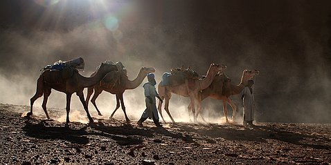 Le Sahara Voyages en pays touareg. La région du Tassili N'Ajjer et de la Tadrart en Algérie, de l'Aïr et du Ténéré au nord Niger.