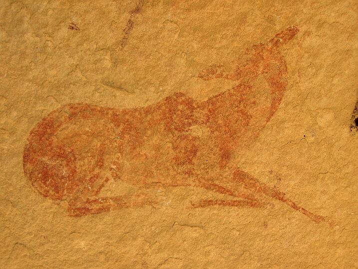 Adrar Les sites rupestres de l'Adrar