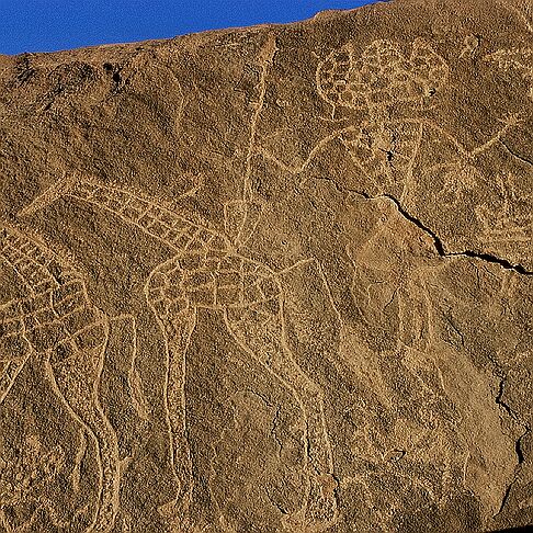 iwelen_4b Les girafes sont parfois figurées chassées à la lance.