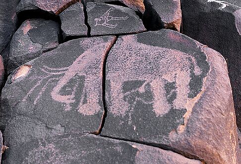 iwelen_8 La faune sauvage comporte de nombreuses représentations d'espèces aujourd'hui disparues de l'Aïr.