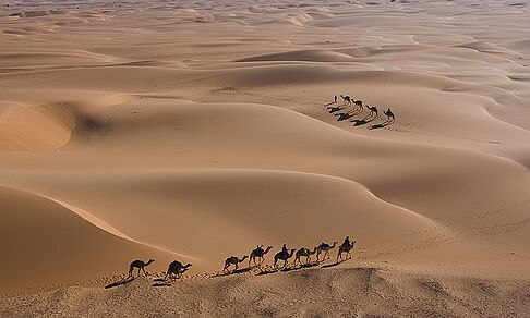 Dunes et caravanes
