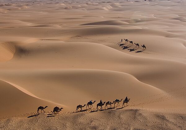 meharee Méharée sur la bordure est du massif de l'Aïr. Du puits de Tazerzait au kori Tanakom. Sur les traces du passé.