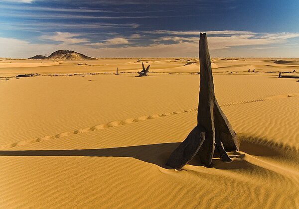 Néolithique Néolithique Le Néolithique peut être considéré comme l' apothéose dans l' évolutions des sociétés préhistoriques