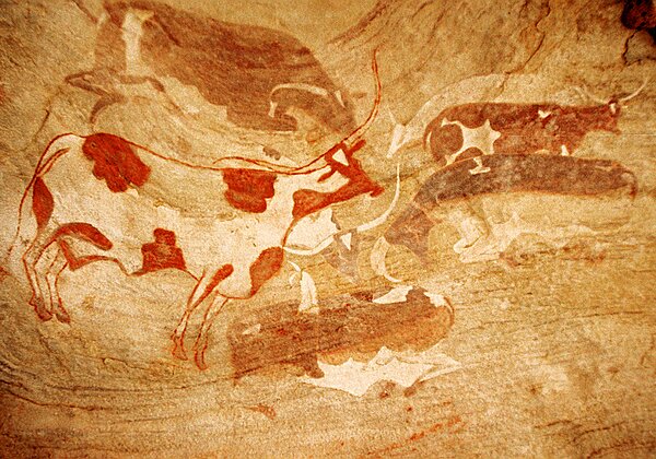 La domestication La domestication Vers 6500 ans BP, à la fin de l' aride mi-Holocène, peut être même avant, les sociétés vivant en...