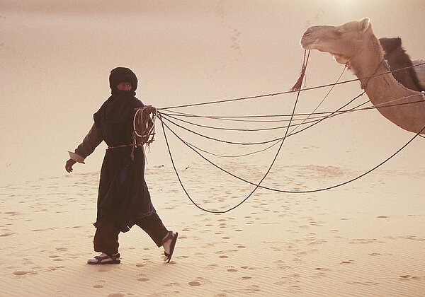 Les Touaregs Les Touaregs Pour le dictionnaire le Désert est un lieu vide qui n'est pas habité. Ceci n'est pas tout à fait vrai grâce...
