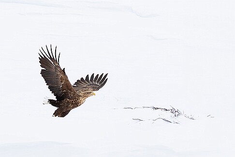 _V7A6310-Avec accentuation-Bruit-3 Topaz Gigapixel 2x null